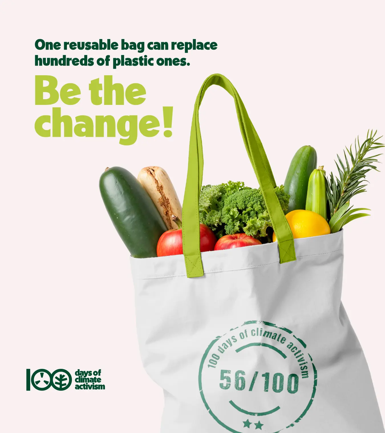 100 days of climate activism day - 56