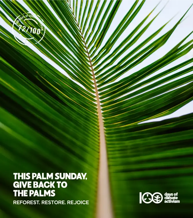 100 days of climate activism day - 72