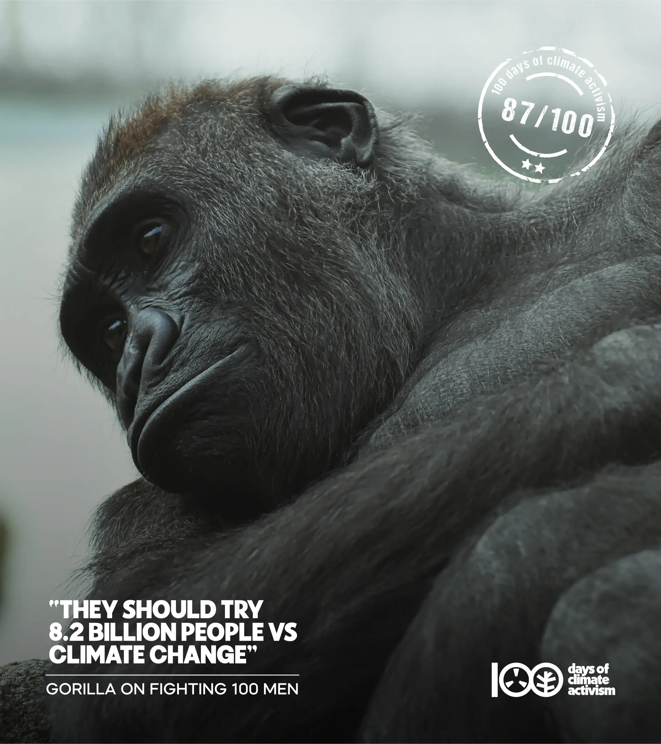 100 days of climate activism day - 87